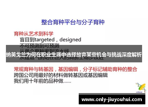 纳英戈兰为何在职业生涯中选择放弃某些机会与挑战深度解析