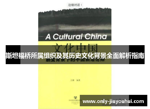 斯坦福桥所属组织及其历史文化背景全面解析指南