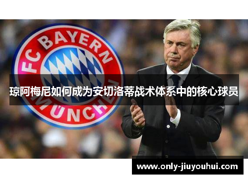 琼阿梅尼如何成为安切洛蒂战术体系中的核心球员