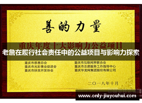 老詹在履行社会责任中的公益项目与影响力探索